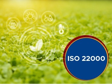 نظام إدارة سلامة الغذاء -الآيزو 22000