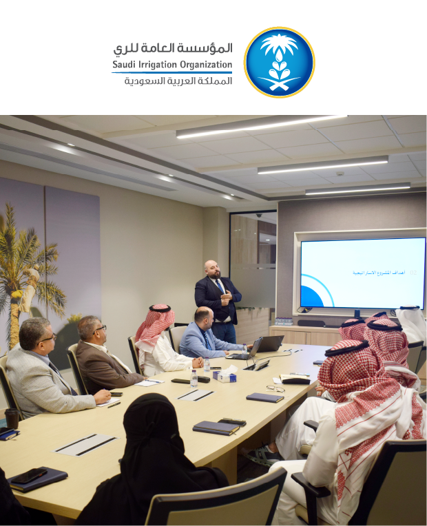 Our projects