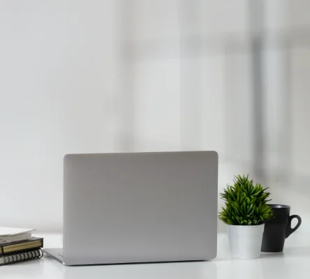 Digital Jobs and Employment