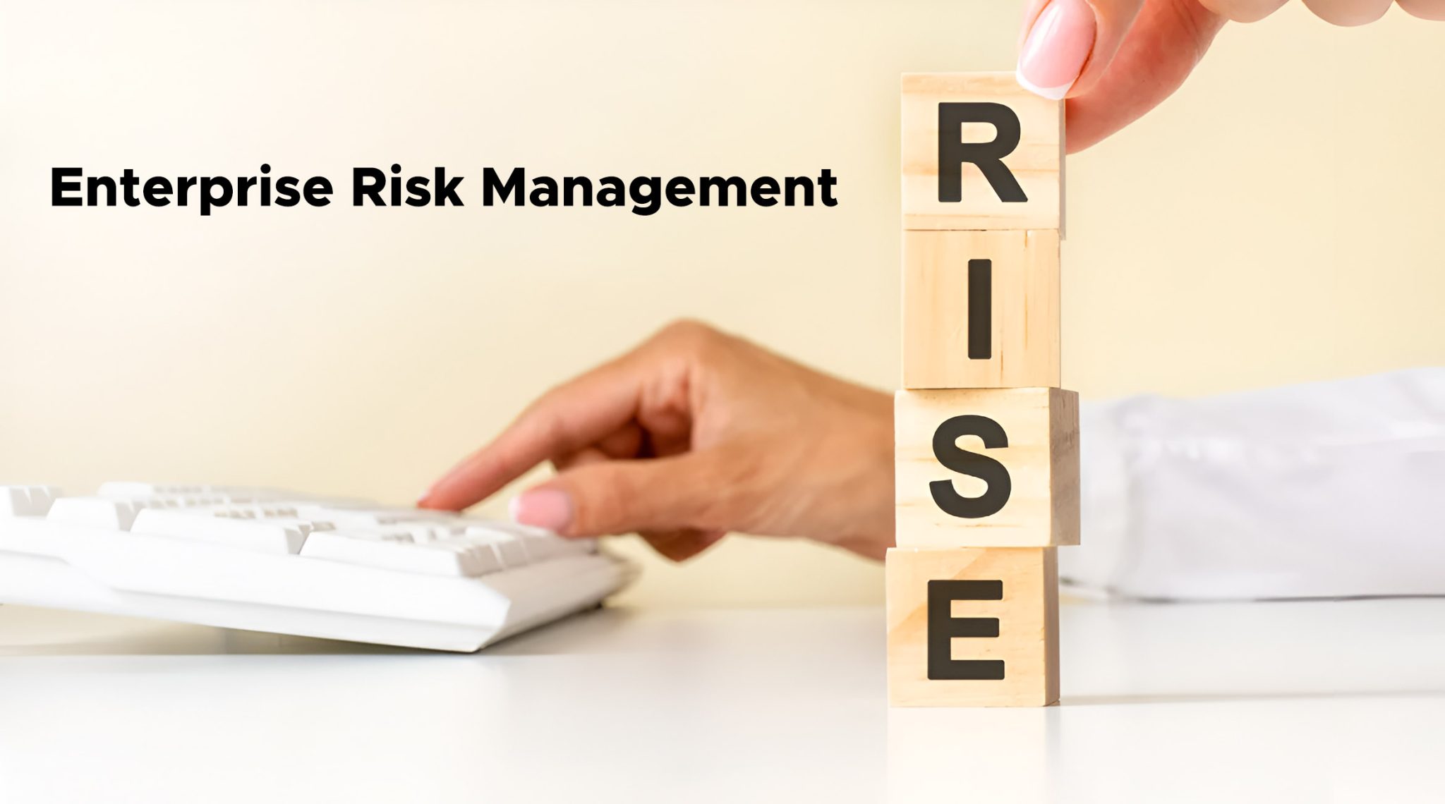 Enterprise Risk Management | RMG
