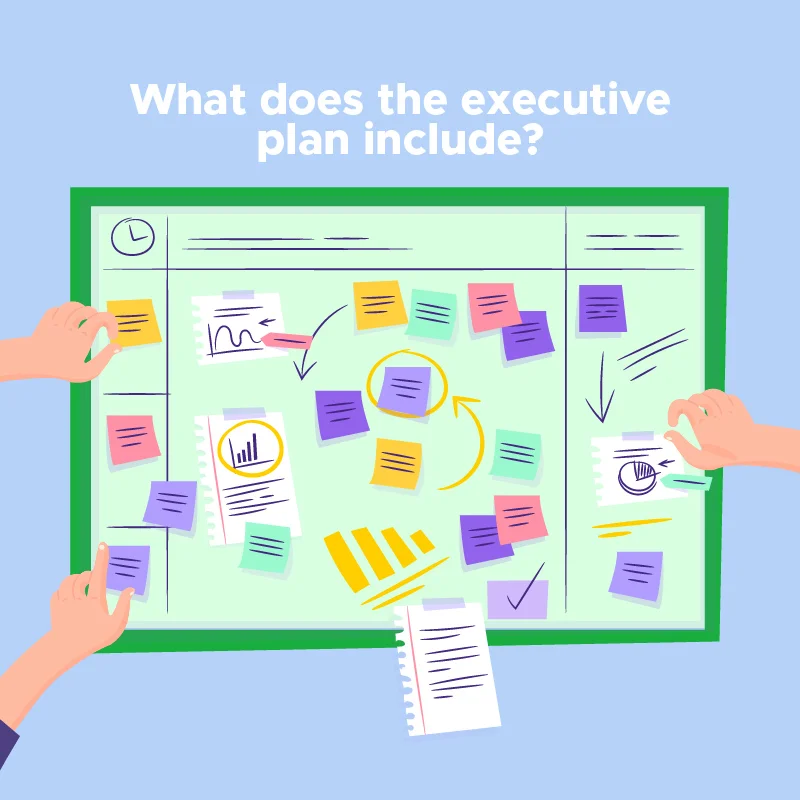 What does the executive plan include