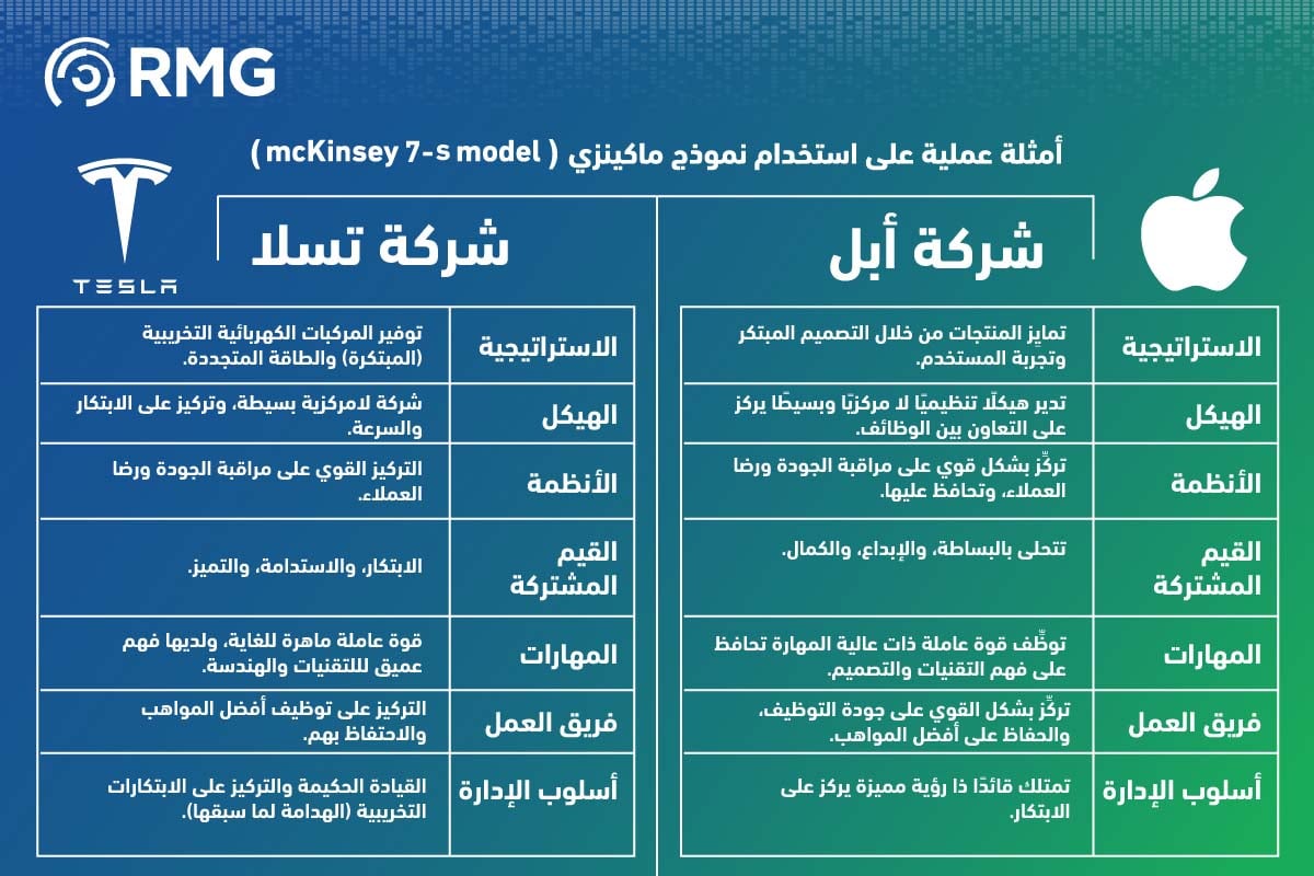 ما هو نموذج ماكينزي لتحليل المؤسسات؟ 2 أمثلة عملية لماكيزي
