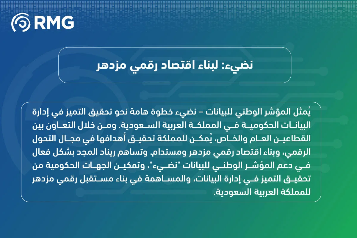 المؤشر الوطني للبيانات – نضيء رؤية استراتيجية للتميز في إدارة البيانات الحكومية 10