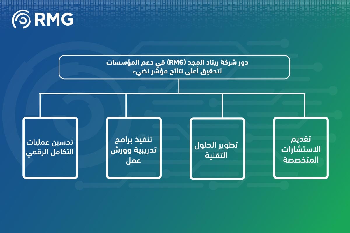 قياس نضج إدارة البيانات وفقًا لمؤشر نضيء: دور شركة ريناد المجد(RMG) في دعم المؤسسات وتحقيق أفضل النتائج 6 قياس نضج إدارة البيانات وفقًا لمؤشر نضيء 08