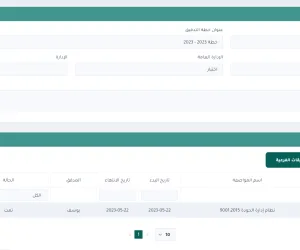 audit detailed plan info